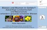 Bienen und Blumen in Gefahr? - forum.unibe.ch Bienen und Blumen in Gefahr? Zuk£¼nftige Landwirtschaft