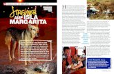 ISLA MARGARITA - Tierfotografie Winter: MARGARITA [ 110 ] DOGStoday DOGStoday [ 111 ] FOTOS: Tierfotogta«“