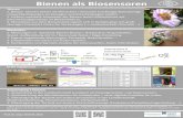 Bienen als Biosensoren - claus-brell.declaus-brell.de/materialien/poster-bienen-als-biosensoren- ¢ 