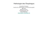 Pathologie des £â€“sophagus - xn--pathologie-mnster-e3b.de £¼nster.de/Prof-Kuhnen-SS17/Gastroenteropathologie...¢ 