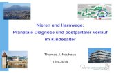 Nieren und Harnwege: Pr£¤natale Diagnose und postpartaler ... Nieren und Harnwege: Pr£¤natale Diagnose