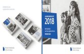 JAHRESBE RICHT 2018 - Jahresberichte zum Legislaturthema ¢«Fremd-Sein¢». FREMD-SEIN 2018JAHRESBE RICHT