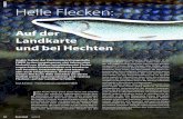 FIBER Helle Flecken ... FIBER 50 Petri-Heil 6|2019 Helle Flecken: Auf der Landkarte und bei Hechten
