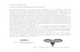 2 Material und Methodik 2.1 Das ... 2.1 Das Knietotalendoprothesensystem Genesis II Die Genesis-II-Knie-TEP