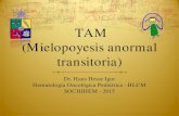 TAM (Mielopoyesis anormal 2015-12-22¢  TAM= TMD £² Transient abnormal myelopoiesis o transient myeloproliferative