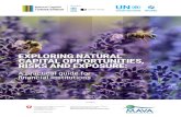 EXPLORING NATURAL CAPITAL OPPORTUNITIES, RISKS AND Exploring Natural Capital Opportunities, Risks and