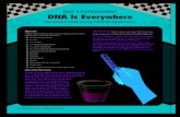 See Onion DNA Using Kitchen Appliances ... See Onion DNA Using Kitchen Appliances Day 3 Experiment: