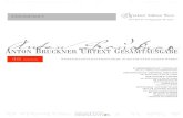 Bruckner GA Prospekt 9 - Verlagsgruppe Hermann 2017-02-14آ  Bruckner Edition Wien, einem Label der Verlagsgruppe