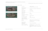Phrygia; Acmoneia; 1. Jh. v.Chr.; AE Onlineportal Alte Geschichte und Altertumskunde Numismatische Sammlung