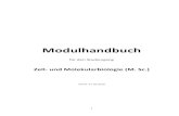 Zell- und Molekularbiologie (M. Sc.) - FAU 2020-04-15آ  Studienverlaufsplan Master Zell- und Molekularbiologie
