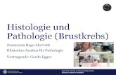 Histologie und Pathologie (Brustkrebs) ... Klinisches Institut fأ¼r Pathologie Assoz. Prof. Priv. Doz.