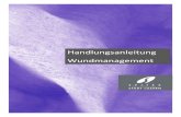Handlungsanleitung Wundmanagement - Spitex Luzern