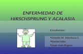 Enfermedad de Hirschsprung y Acalasia