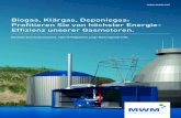 Segmentbroschuere Biogas