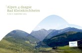 Alpe 4 daagse Folder Deutsch