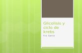 Glicolisis y Ciclo de Krebs