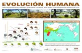 EVOLUCIأ“N HUMANA - Fundaciأ³n EVOLUCIأ“N HUMANA Australopithecus afarensis (Hadar, Etiopأ­a, أپfrica,