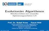Computational-Intelligence | Main / Computational-Intelligence ...fuzzy.cs.ovgu.de/ci/ea/ea2013_v02_meta1.pdf