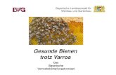 Gesunde Bienen trotz Varroa - LWG .Brosch¼re Gesunde Bienen trotz Varroa. Folie 43 Fachzentrum Bienen