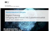Digital Policing Umgang der Polizei mit Cyberkriminalit£¤t DEPARTEMENT VOLKSWIRTSCHAFT UND INNERES DEPARTEMENT
