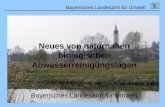 Bayerisches Landesamt f¼r Umwelt Neues von naturnahen biologischen Abwasserreinigungslagen Erich Englmann Bayerisches Landesamt f¼r Umwelt