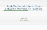 Lipid-Mediated Interactions between Membrane Proteins 29.6.04 Julia Wei