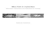 Mica fish in mylonites