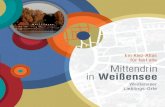 Mittendrin in Weiensee â€“ Ein Kiez-Atlas f¼r fast alle