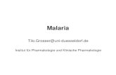 Malaria - uniklinik-  Tilo.Grosser@uni-  Institut fr Pharmakologie und Klinische Pharmakologie
