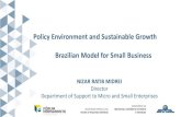 Policy Environment and Sustainable Growth Brazilian Model ... Brazilian Model for Small Business NIZAR