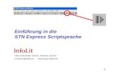 Einfuehrung in die STN Express Scriptsprache (2004)