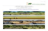 Tansania Safari â€œwilder Nordenâ€‌ - Destination Afrika and the Ngorongoro Conservation Area, Country