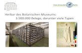 Herbar&des&Botanischen&Museums:& 3.500.000 Belege ... Herbar&des&Botanischen&Museums:& 3.500.000 Belege,