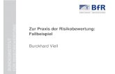 Zur Praxis der Risikobewertung: BUNDESINSTITUT FأœR ... Fish from special regions Shellfish Fish liver