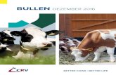 BULLEN DEZEMBER 2016 - CRV ... CR BULLENKATALOG 21 7 Schwarzbunt CONCERT EFFIZIENZMERKMALE Si 68% Effizienz