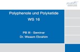 Polyphenole und Polyketide WS 16 - uni- Flavonoide 40 Knollenbl£¤tterpilzvergiftung Intoxikation mit