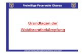 Grundlagen der Waldbrandbek£¤ Freiwillige Feuerwehr Oberau Unterricht KatS-Zug Altenstadt (9. LZ Wetterau)