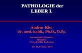 PATHOLOGIE der LEBER I. - Semmelweis Egyetem PATHOLOGIE der LEBER Epidemiologie: seit dem Mittelalter
