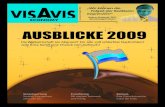 VISAVIS Economy 01/2009 - Ausblicke 2009