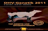 Holstein Genetik-Sale 2011