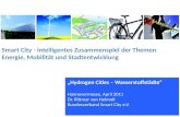 Smart City - intelligentes Zusammenspiel der Themen Energie, Mobilit¤t und Stadtentwicklung â€‍Hydrogen Cities â€“ Wasserstoffst¤dteâ€œ Hannovermesse, April