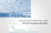 Profiloberstufe - Immanuel-Kant-Schule Reinfeld 2020. 1. 16.¢  Title: Profiloberstufe Author: Christian