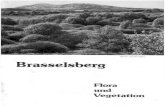 Flora Vegetation S17 300 b1 - Stadtteilkultur 2010. 11. 5.آ  genutat In sgitdem Baآ±es in Ser Hأ¶he