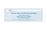 Anatomie Biomechanik Pathologie 1 DAGC Die Bandscheibe Anatomie Biomechanik Pathologie Deutsch-Amerikanisches