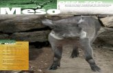 Warzenschwein,4Monatealt 4 Meso Fledermأ¤usesindTiere,dieaufdenersten BlickkaumjemandmitdemOpel-Zooin
