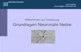 Willkommen zur Vorlesung Grundlagen Neuronale Netze Rekurrente Neuronale Netze (BBTT, Echo-State, LSTM)