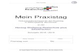 Dokumentationsmappe fأ¼r den Praxistag im Bildungsgang ...hwrsplus-zw.de/media/praxistag/Mein Praxistag