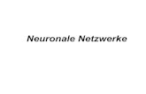 Neuronale Netzwerke - uni- reimann/PROSEMINAR/zz_boeg¢  ¢â‚¬â€Neuronale Netze bilden die Struktur und Informationsarchitektur
