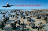 Australiens naturwunder -e.rika pps
