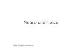 Neuronale Netze Von Kay-Patrick Wittbold. BESTANDTEILE